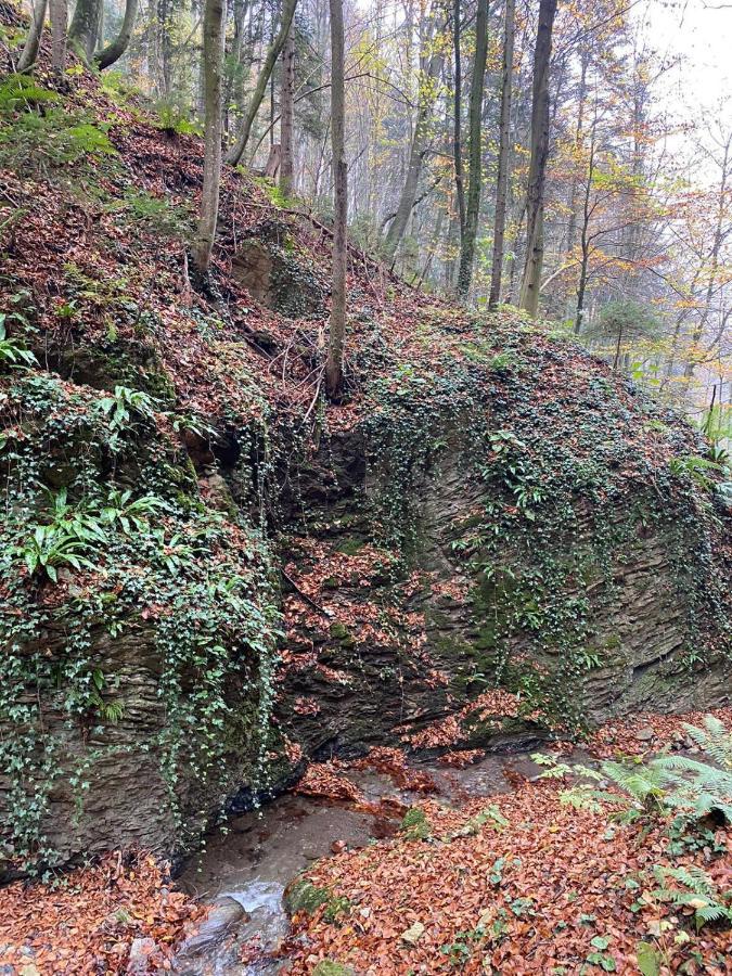 Gaestehaus Schmid Sankt Johann im Saggautal Dış mekan fotoğraf