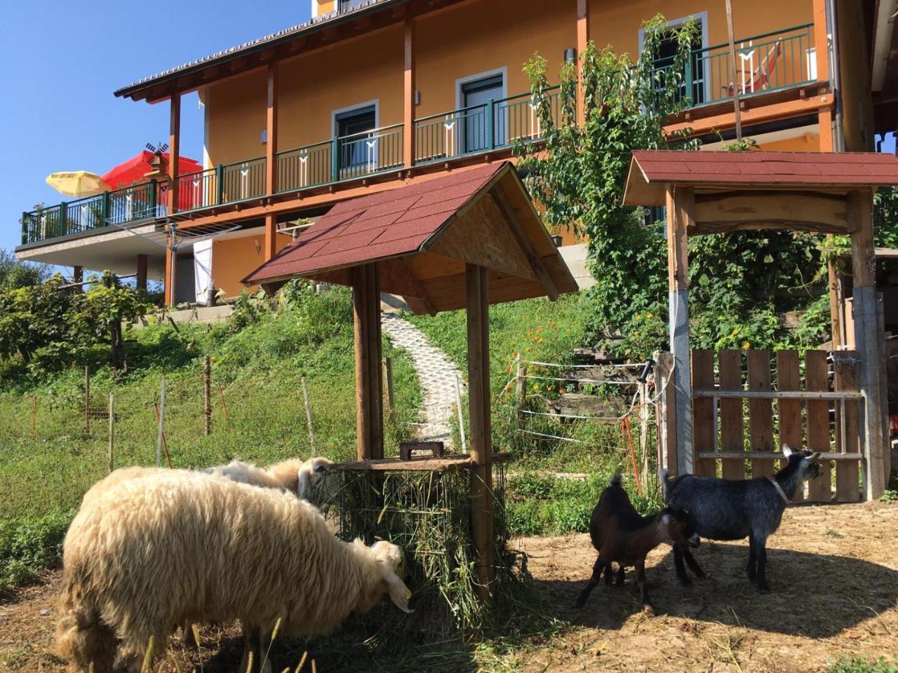 Gaestehaus Schmid Sankt Johann im Saggautal Dış mekan fotoğraf